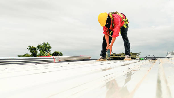 Best Chimney Flashing Repair  in Rolesville, NC